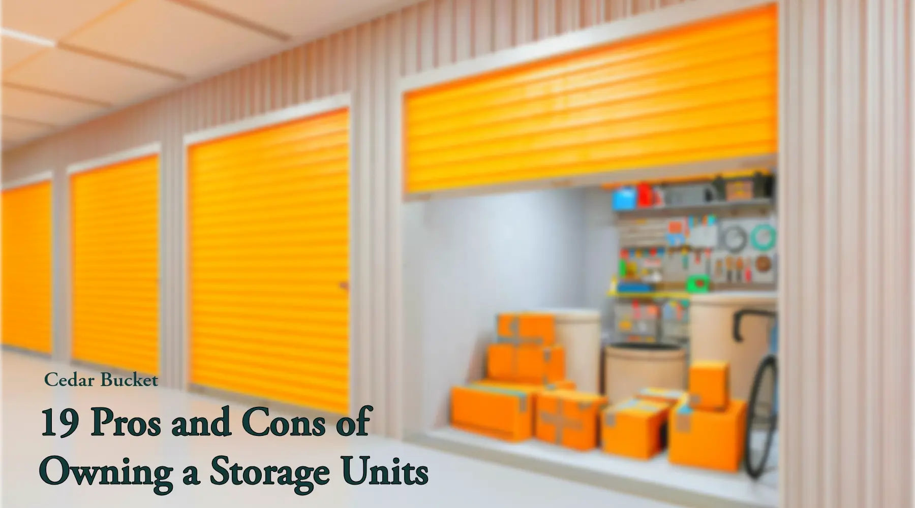 19 Pros and Cons of Owning Self-Storage Units